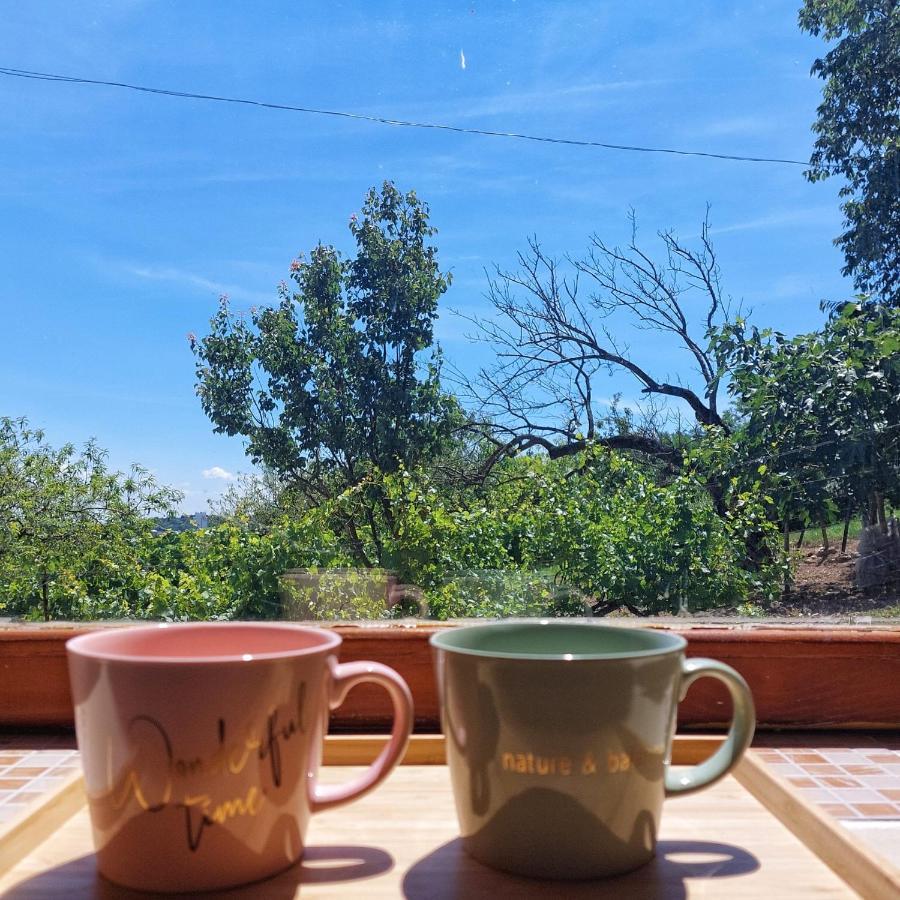 Panorama Wine & Chill Daire Hévíz Dış mekan fotoğraf